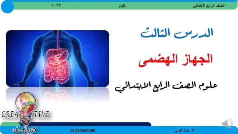 مدراول الجهاز الهضمي علوم للصف الرابع الابتدائي ترم أول 2023 أ/ مينا عوني	