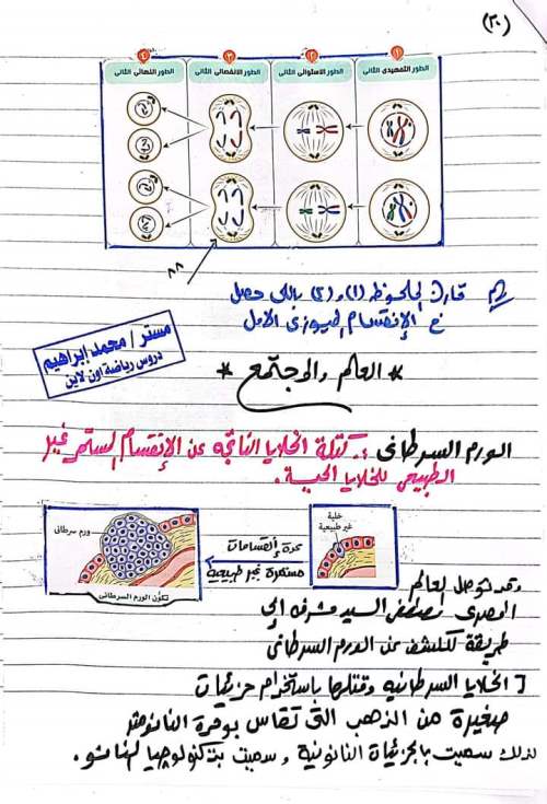 درس الانقسام الخلوي علوم للصف الثالث الإعدادي مدرس دوت كوم