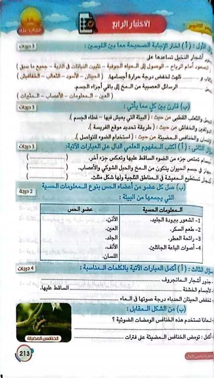 مراجعة نهائية في العلوم للصف الرابع الابتدائي مدرس اول