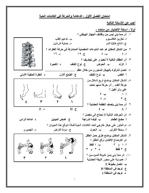 في اي فصل نحن