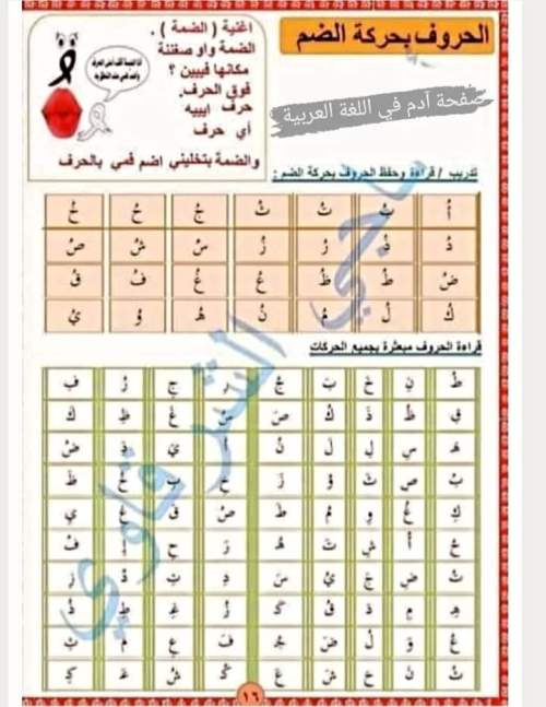 مدرس اول تأسيس الصغار في القراءة والكتابة والإملاء وتعلم مهارات اللغة العربية أ/ ناجي الشرقاوي	