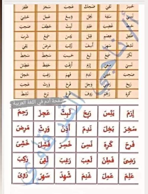 مدرس اول تأسيس الصغار في القراءة والكتابة والإملاء وتعلم مهارات اللغة العربية أ/ ناجي الشرقاوي	