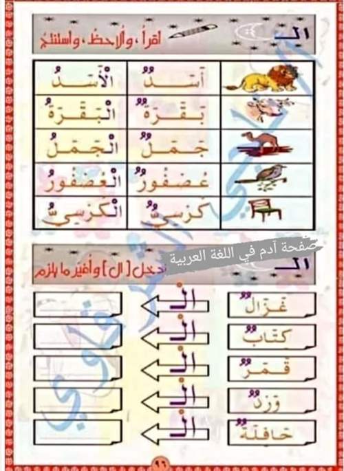 مدرس اول تأسيس الصغار في القراءة والكتابة والإملاء وتعلم مهارات اللغة العربية أ/ ناجي الشرقاوي	