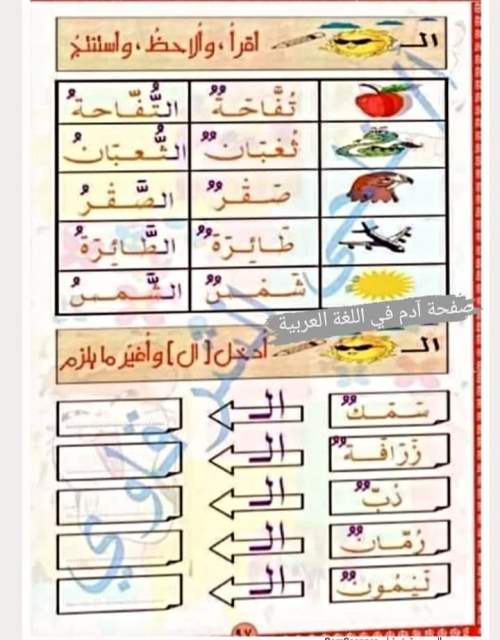 مدرس اول تأسيس الصغار في القراءة والكتابة والإملاء وتعلم مهارات اللغة العربية أ/ ناجي الشرقاوي	