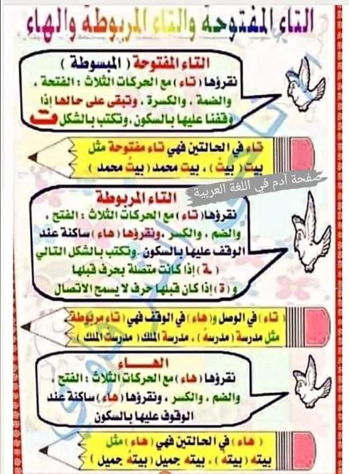 مدرس اول تأسيس الصغار في القراءة والكتابة والإملاء وتعلم مهارات اللغة العربية أ/ ناجي الشرقاوي	