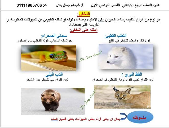 شرح مفهوم التكيف والبقاء فى العلوم للصف مدرس اول