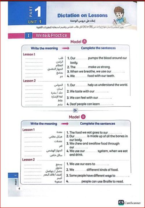 مدرس اول كراسة المعاصر Elmoasser كونكت بلس 4 connect plus رابعة ابتدائى لغات الترم الاول 2024 pdf	