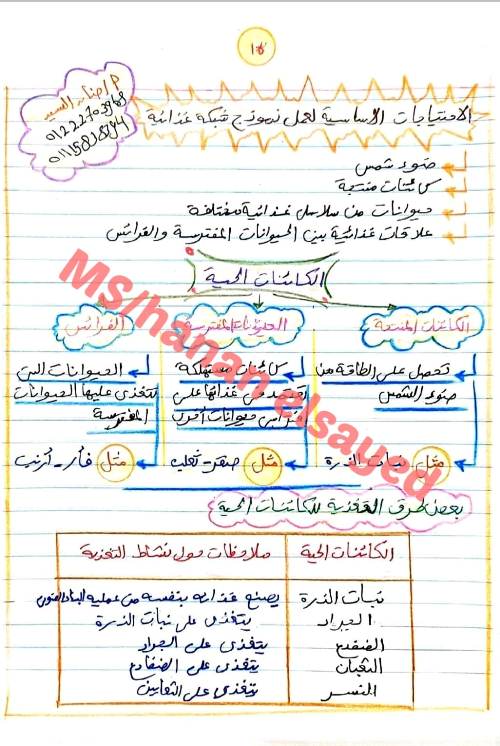 الجزء الثانى من مفهوم انتقال الطاقة فى مدرس دوت كوم