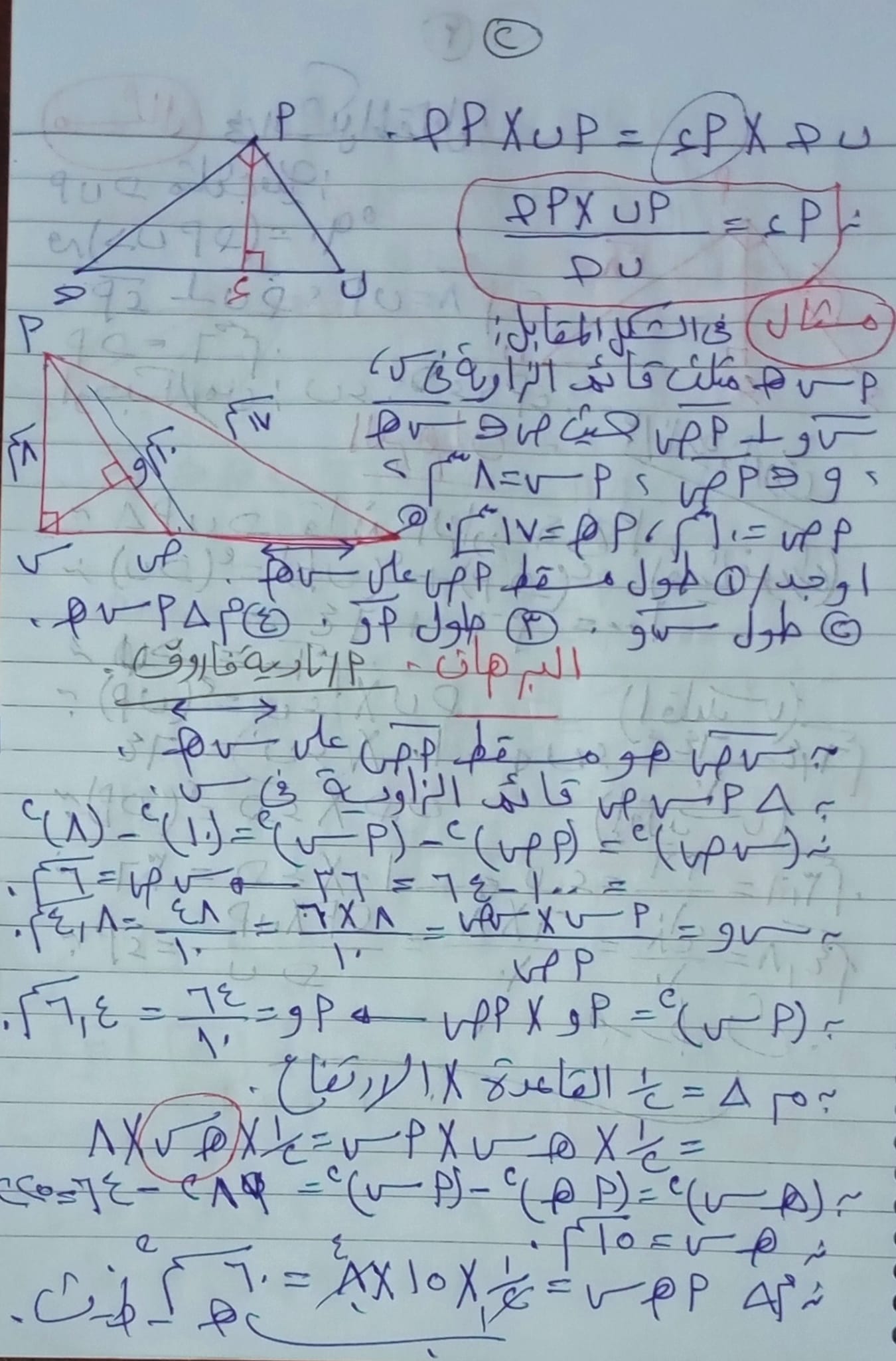مدرس دوت كوم شرح نظرية إقليدس واختبار ٧ هندسة فى الرياضيات للصف الثانى الإعدادى الترم الثانى 2024 أ/ نادية فاروق	