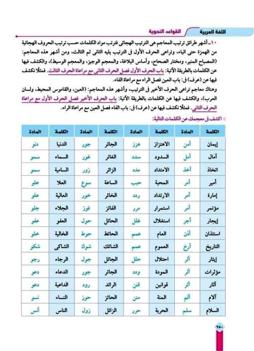 مدرس دوت كوم أهم كلمات الكشف في المعجم فى اللغة العربية للصف الثاني الإعدادي الترم الثانى	