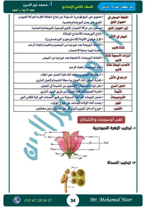 مدرس دوت كوم أقوى مذكرة مراجعة نهائية ليلة الامتحان بالإجابات فى مادة العلوم الصف الثانى الاعدادى الترم الثانى أ/ محمد نورالدين	