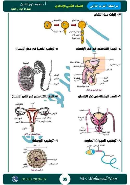 مدرس دوت كوم أقوى مذكرة مراجعة نهائية ليلة الامتحان بالإجابات فى مادة العلوم الصف الثانى الاعدادى الترم الثانى أ/ محمد نورالدين	