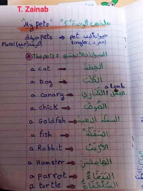 مذكرتى ملخص اللغة الانجليزية الصف الثالث الابتدائى أ/ زينب	