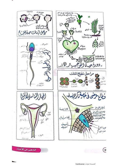 مدراول أهم رسومات المنهج فى مادة الاحياء الصف الثالث الثانوى	