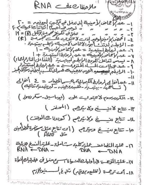 ملخص ال Dna في 7 ورقات فى مدرس اول