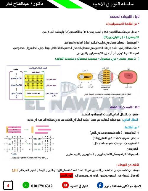 مدرس دوت كوم مذكرة فى مادة الاحياء الصف الاول الثانوى الترم الاول د/ عبد الفتاح نوار 