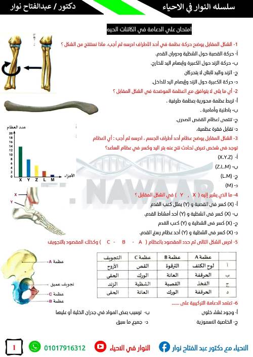 مدرس دوت كوم مذكره في الاحياء الصف الثالث الثانوي أ/ عبد الفتاح نوار