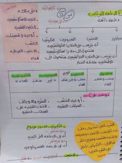 مدرس دوت كوم مراجعه احياء الصف الثالث الثانوي 