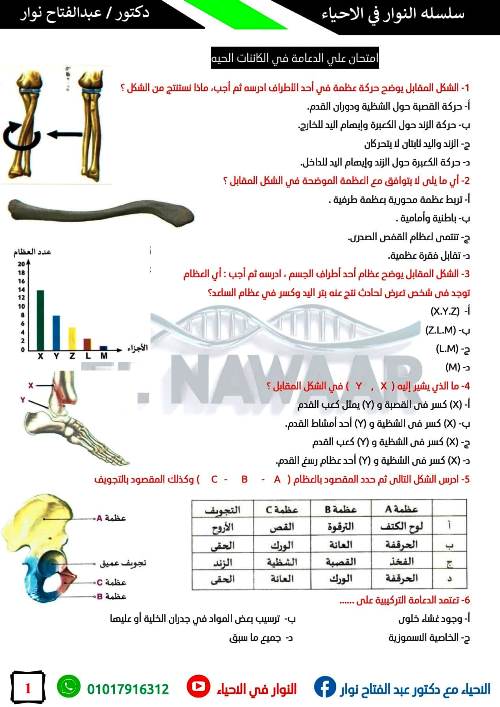 مدرس دوت كوم امتحان شامل علي فصل الدعامه في الكائنات الحيه فى الاحياء الصف الثالث الثانوي د/ عبد الفتاح نوار 