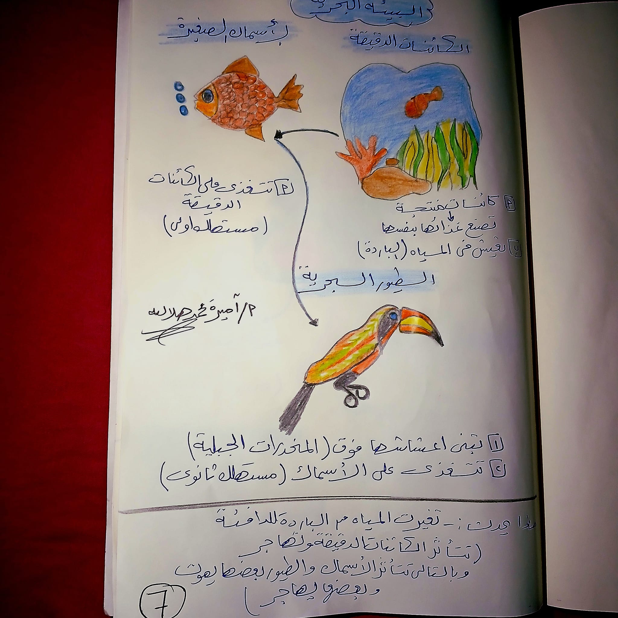 مدرس اول مذكرة فى مادة الدراسات الاجتماعية الصف السادس الابتدائى الترم الاول أ/ رانيا جمال حبيب