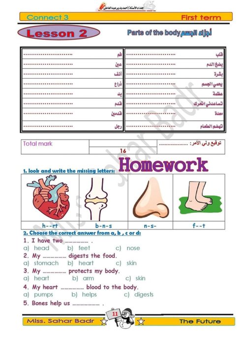 مدرس اول مذكره في اللغه الانجليزيه الصف الثالث الابتدائي الترم الاول م/ سحر بدر