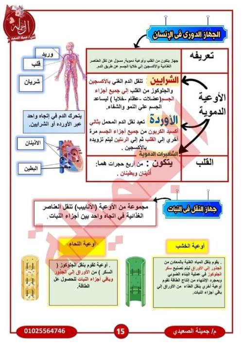 مدرس دوت كوم مذكره في  العلوم للصف الخامس الابتدائي أ/ جميله الصعيدي 