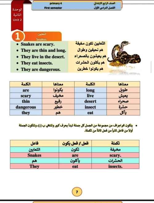 مدرس اول براجرافات فى اللغة الانجليزية الصف الرابع والخامس والسادس الابتدائي 