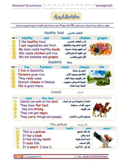 مدرس اول براجرافات فى اللغة الانجليزية الصف الرابع الابتدائي الترم الاول أ/ صلاح عبد السلام 