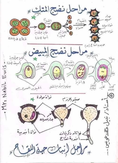 مدرس دوت كوم رسومات الاحياء كاملة للصف الثالث الثانوى أ/  نبيل عويس