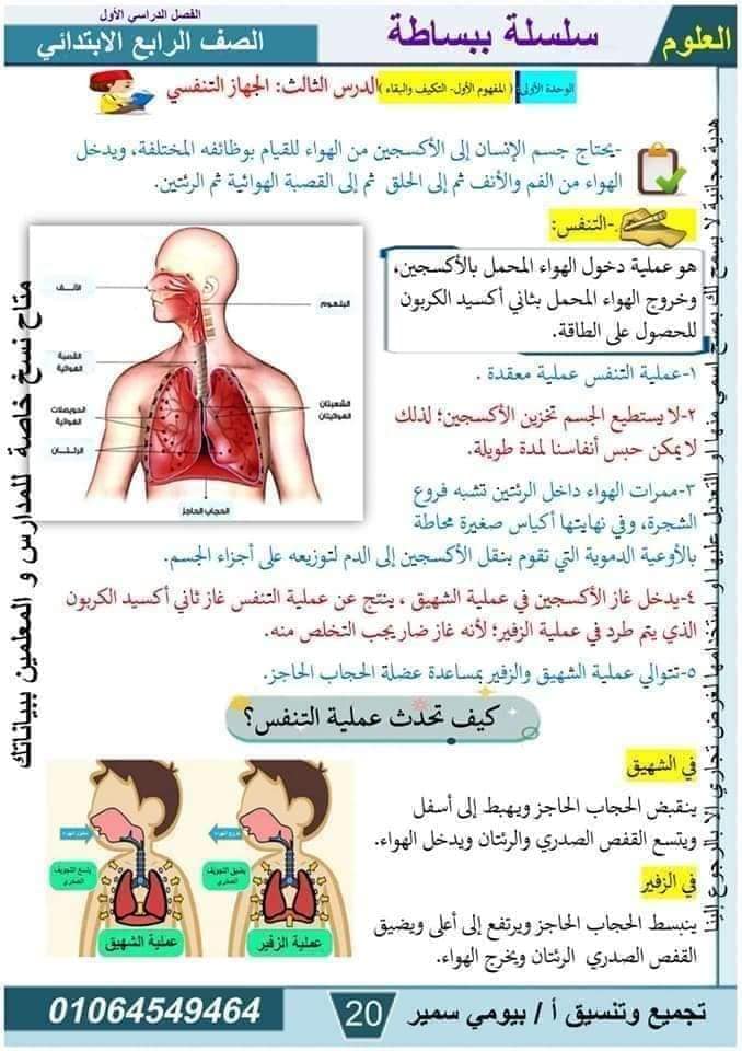 مدرس دوت كوم مذكرة فى مادة العلوم الصف الرابع الابتدائى الترم الاول أ/ بيومي سمير 