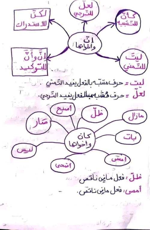 مدرس اول قواعد فى النحو الصف الرابع الخامس والسادس الابتدائي الترم الاول 