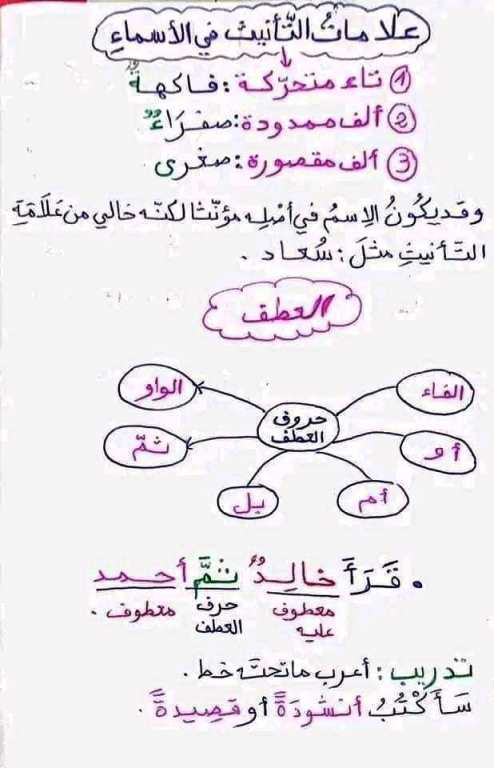 مدرس اول قواعد فى النحو الصف الرابع الخامس والسادس الابتدائي الترم الاول 