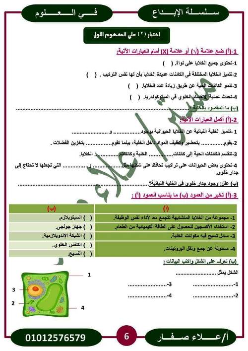 مدرس اول اختبارات على المفهوم الأول فى مادة العلوم الصف السادس الابتدائى الترم الاول أ/ علاء صفار