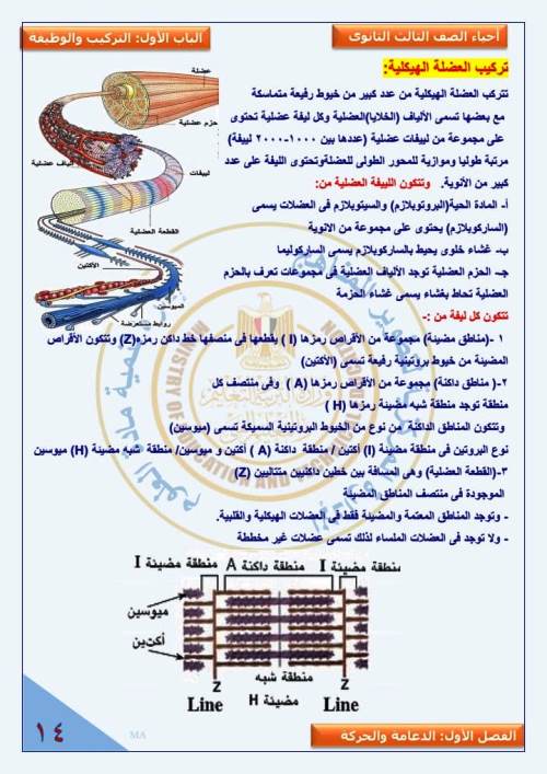 مدرس دوت كوم مذكرة فى مادة الاحياء الصف الثالث الثانوى 