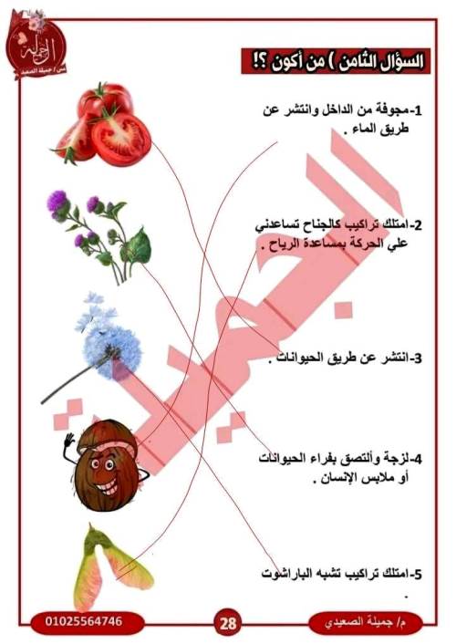 مدرس اول حل تمارين المفهوم الأول فى مادة العلوم الصف الخامس الابتدائى الترم الاول أ/ جميلة الصعيدى 