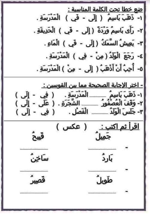 مدرس دوت كوم تمارين في اللغة العربية الصف الثالث الابتدائى الترم الاول 