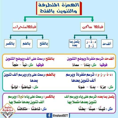 مدرس اول قواعد الإملاء للمرحله الابتدائيه 