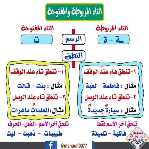 مدرس اول قواعد الإملاء للمرحله الابتدائيه 