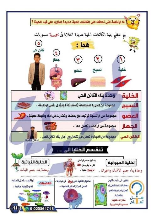 مدرس دوت كوم مذكرة  في العلوم للصف السادس الابتدائي الترم الاول أ/ جميله الصعيدي 