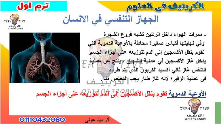 مدرس دوت كوم مذكرة شرح على الجهاز التنفسى فى مادة العلوم الصف الرابع الابتدائى الترم الاول أ/ مينا عونى 