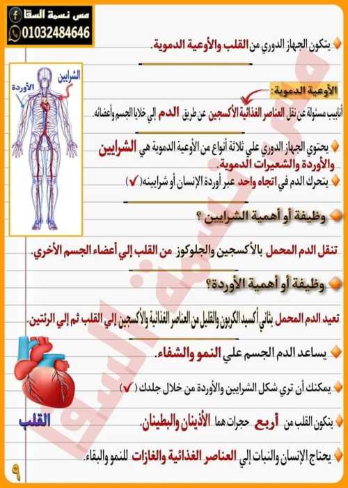 مدرس اول مذكره  علوم  الصف الخامس الابتدائي الترم الاول أ/ نسمه السقا