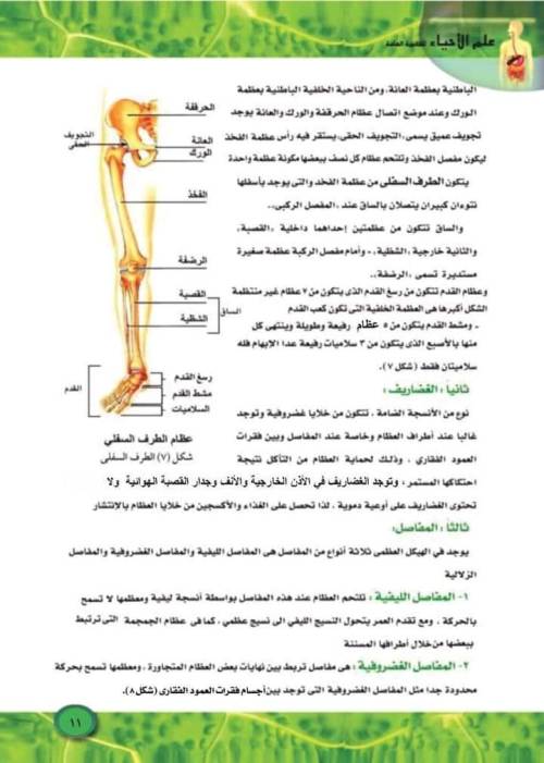 مدرس دوت كوم  مذكره في الأحياء للثانوية العامة