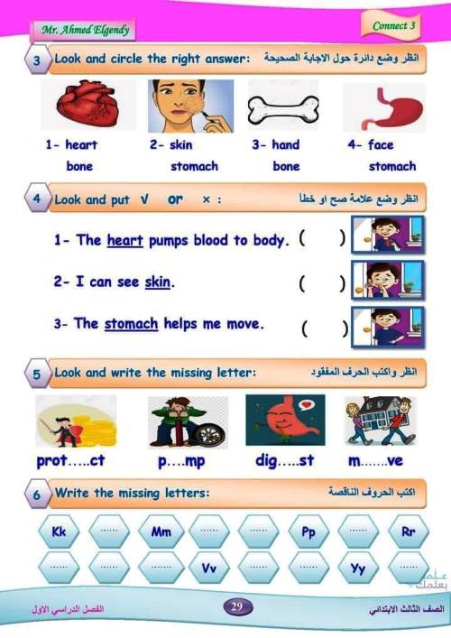 مدرس دوت كوم مذكرة فى اللغة الانجليزية الصف الثالث الابتدائى الترم الاول أ/ أحمد الجندي