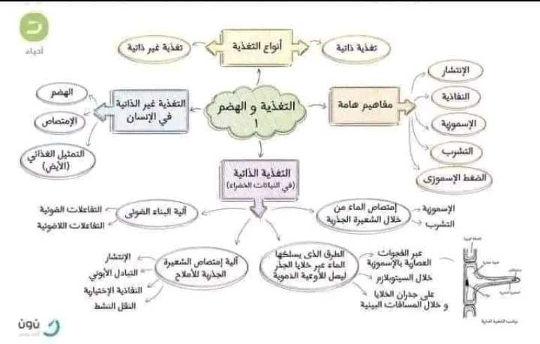 مدرس اون لاين دوت كوم مراجعه احياء الصف الثاني الثانوي ترم اول  مدرس دوت كوم