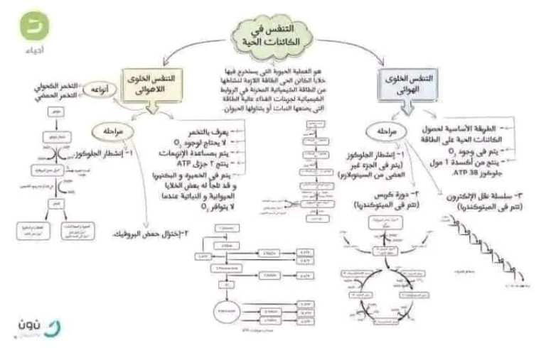 مدرس دوت كوم مراجعه احياء الصف الثاني الثانوي ترم اول 