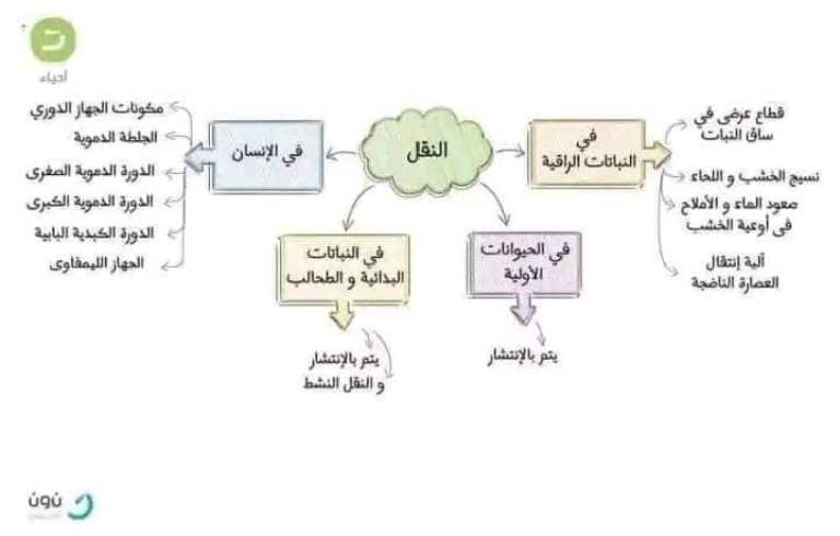 مدرس دوت كوم مراجعه احياء الصف الثاني الثانوي ترم اول 