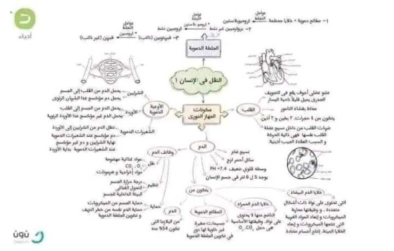 مدرس دوت كوم مراجعه احياء الصف الثاني الثانوي ترم اول 