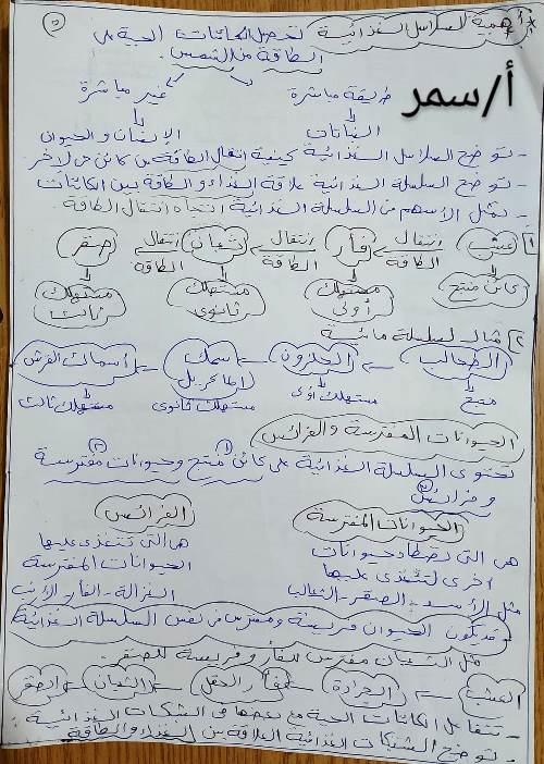 مدرس اول ملخص المفهوم الثانى فى مادة العلوم الصف الخامس الابتدائى الترم الاول أ/ سمر 