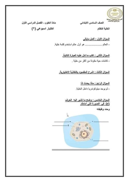 مدرس دوت كوم أسئلة أداء  التقويم من موقع الوزارة الصف السادس الابتدائي 