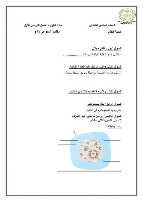 مدرس اون لاين دوت كوم أسئلة أداء التقويم من موقع الوزارة الصف السادس الابتدائي ( الجزء التاني) مدرس دوت كوم